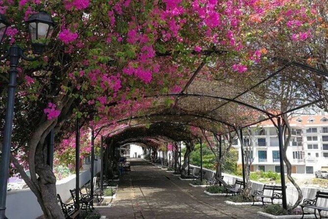 The Pearl of the Pacific & The Walled City Walking Tour - Taking in the Cultural Tapestry of the Walled City