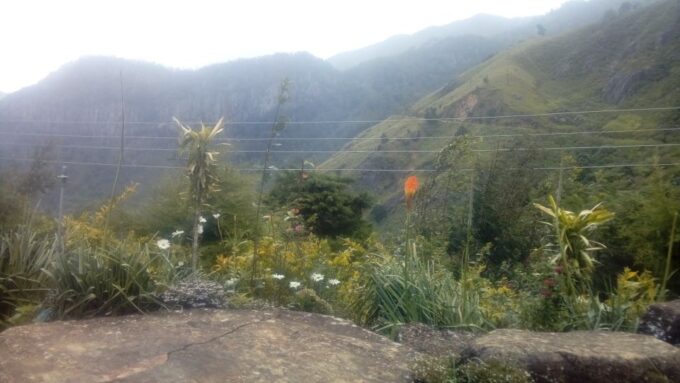 The Pekoe Trail, Stage 12, Trekking Fm Udaweriya To Haputale - Logistics and Transportation