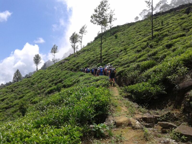 The Pekoe Trail, Stage 14,St. Catherine To Makulella - Key Points
