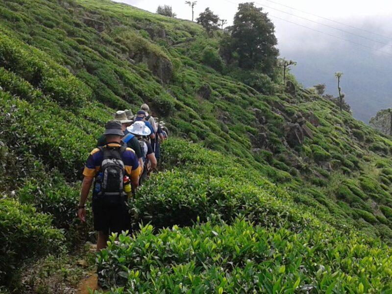 The Pekoe Trail, Stage 14,St. Catherine To Makulella - Booking Details and Policies
