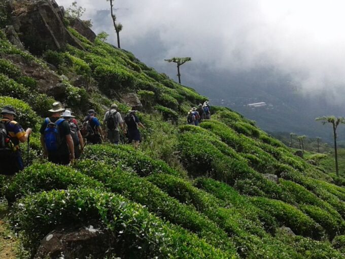 The Pekoe Trail, Stage 14,St. Catherine To Makulella - Recap