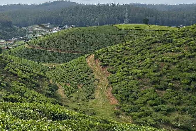 The Pekoe Trail Stage 16- Ella to Demodara - Meeting and Pickup Details