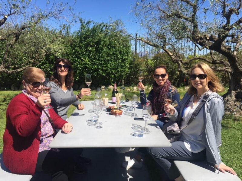 The Penedès: Cava Winery Small Group Tour - Group Size and Language