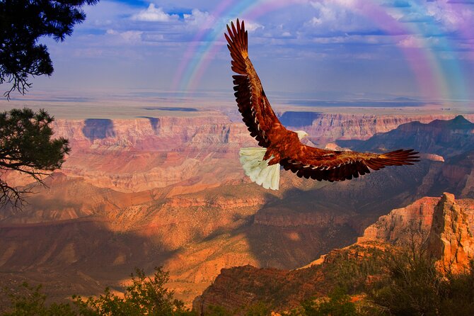 The Perfect Grand Canyon Tour With Local Expert Guides - Meeting Point and Parking Information