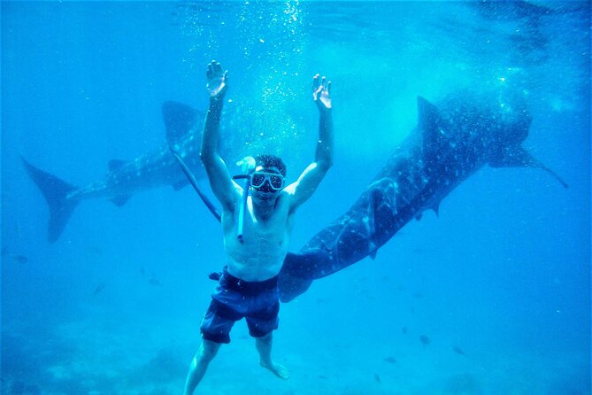 The Philippines: Bohol, Cebu & Dumaguete Area in 6 Days, 1st Class Custom Tours - Pricing and Cancellation