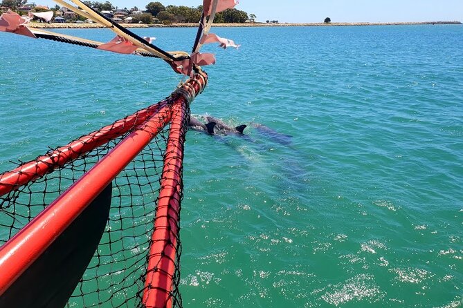 The Pirate Cruise in Mandurah on Viator - Meeting Point and Location