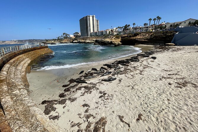 The Plunge E-Bike Tour in La Jolla - Tour Details