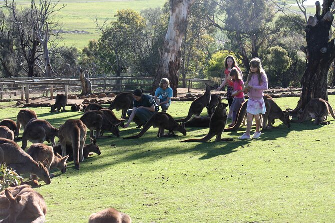 The Port Arthur MEGA Day Trip From Hobart - Tasman Peninsula Attractions