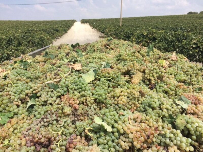 The Port of Saint Mary Winery and Tasting - Key Points