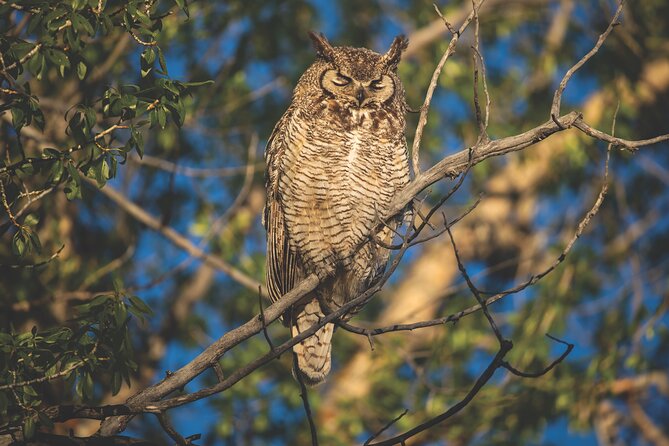The Premier Wildlife Tours in Rocky Mountain National Park - Convenient Meeting and Pickup