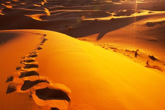The Private 2 Days Desert Tour Fez to Merzouga - Desert Camp Accommodation