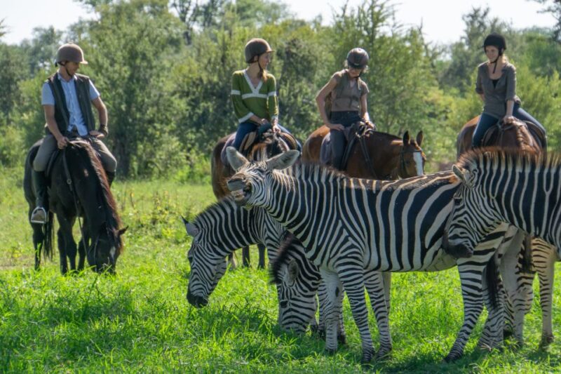 The Private Great Africa Escape 11 Days, Cape Town to Chobe - Exploring the Wonders of Cape Point