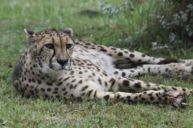 The Private Wildlife Tour - Photographers Perspective