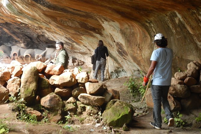The Provider Shuttle & Tours in Lesotho - Transportation Services