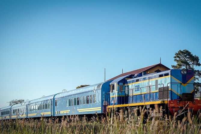 The Q Train - Table For 4 - Lunch (Departing Drysdale) - Attentive Table Service by Professional Staff