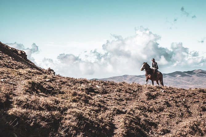 The Real Gaucho Day Trip From Mendoza - Don Daniel Ranch - Tour Overview and Experience