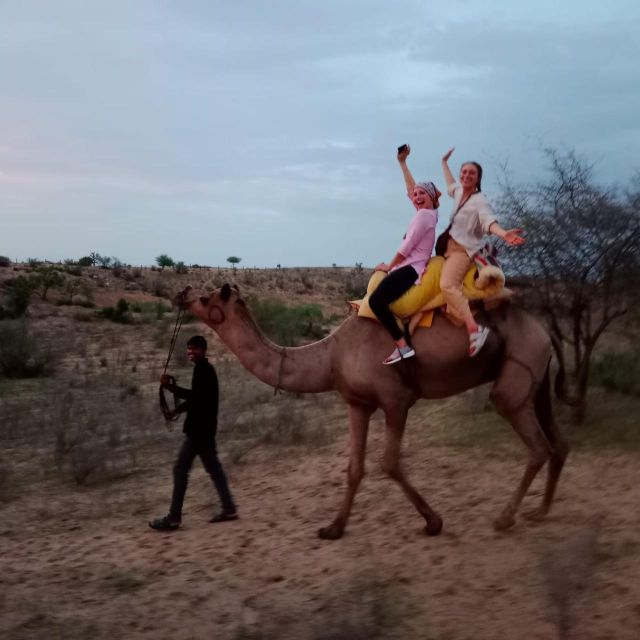 The Real Jodhpur Camel Safari In Desert Wita Marwadi Dinner - Key Points