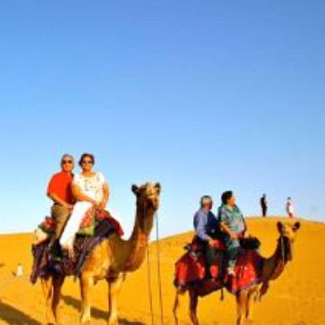 The Real Jodhpur Camel Safari In Desert Wita Marwadi Dinner - Cultural Experience