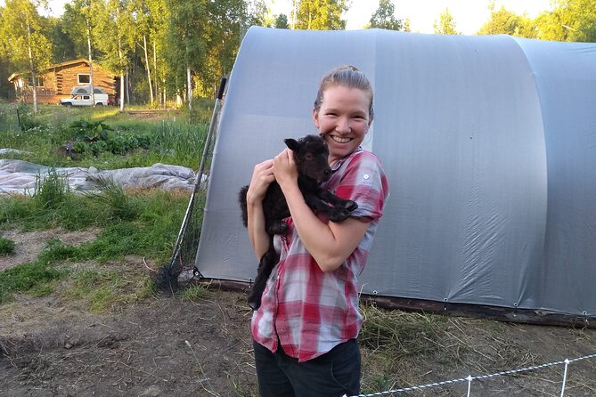 The Reindeer Grove Homestead Tour and Forage - Unique Alaskan Experience