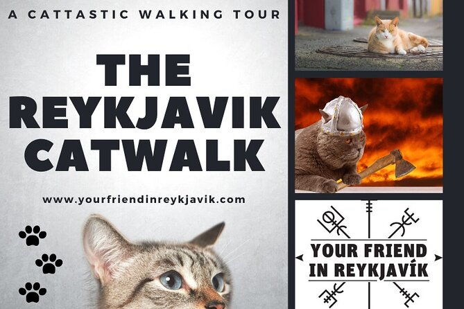 The Reykjavik Cat Walking Tour - Additional Tour Information