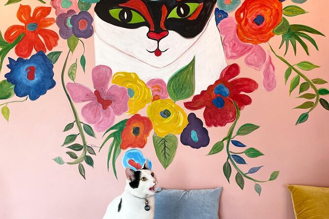 The Reykjavik Cat Walking Tour - Accessibility and Accommodations