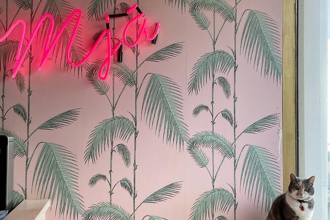 The Reykjavik Cat Walking Tour - Furry Friends at the Cat Cafe