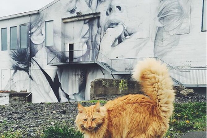 The Reykjavik Cat Walking Tour - Practical Tips for Guests