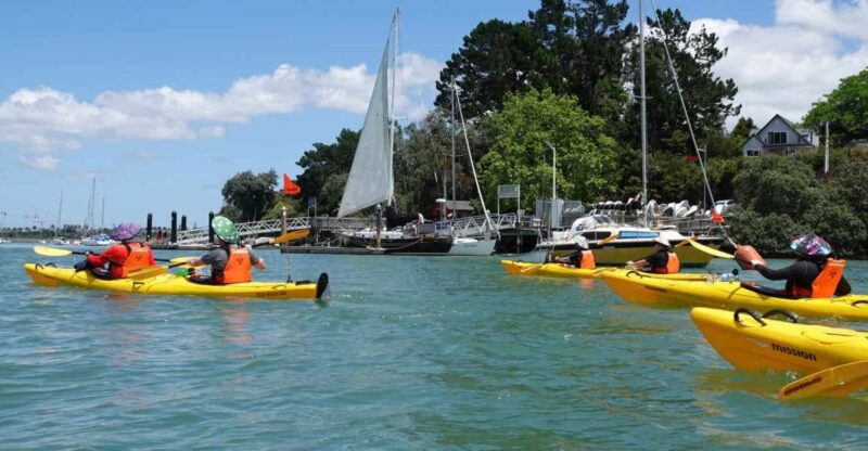The Riverhead Tavern Kayak Tour - Itinerary and Activities