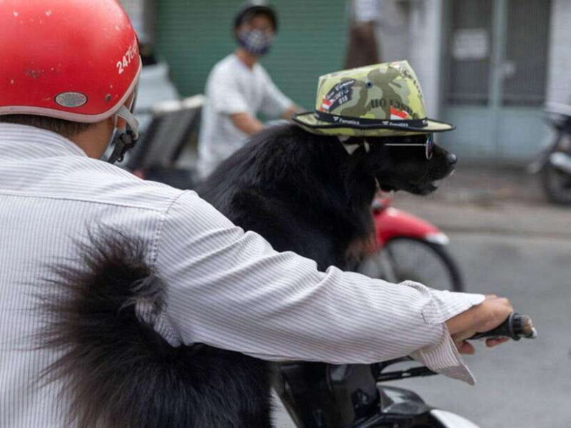 The Rivers Edge: Saigon Photography Tour - Frequently Asked Questions