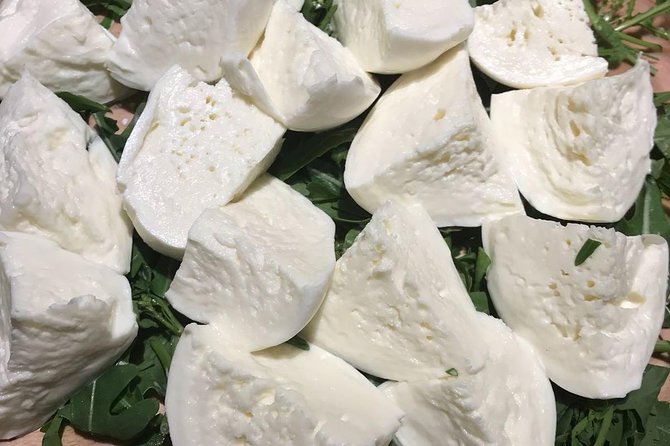 The Roman Food Tour Including Visit to the Trionfale Food Market - Savoring a Traditional Tiramisu