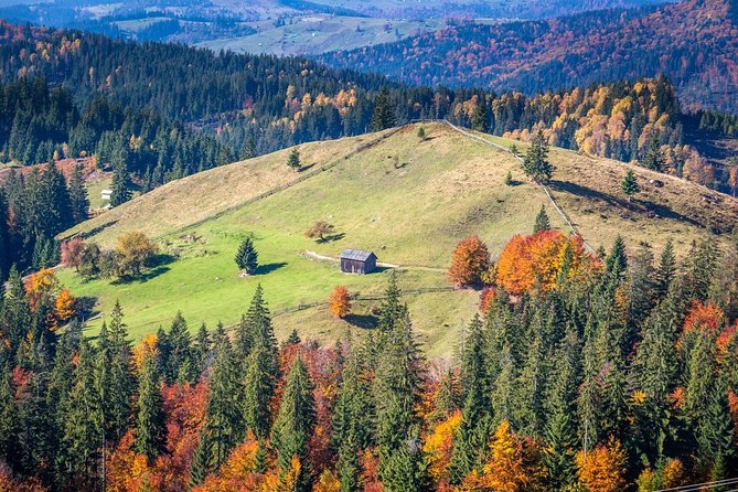 The Romanian UNESCO Heritage Tour – 4 Days - Exclusions