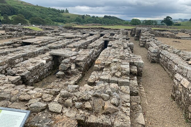 The Romans and Hadrians Wall Day Tour From Windermere - Reviews and Feedback