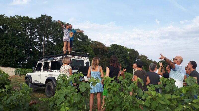 The Royal Connection: Day, Visit, Champagne and Terroir. - Pick-up and Drop-off Locations