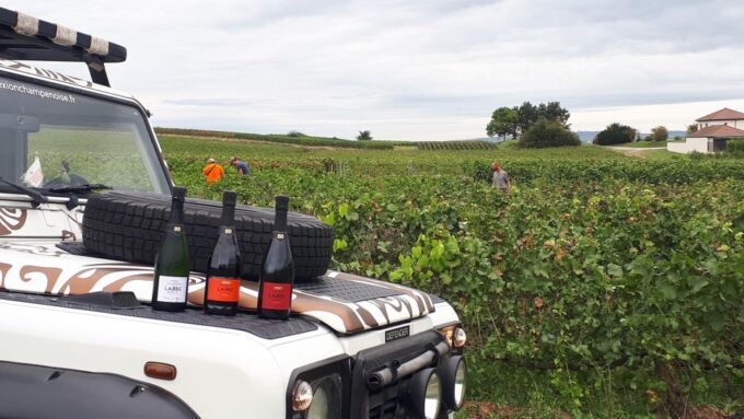 The Royal Connection: Day, Visit, Champagne and Terroir. - Frequently Asked Questions