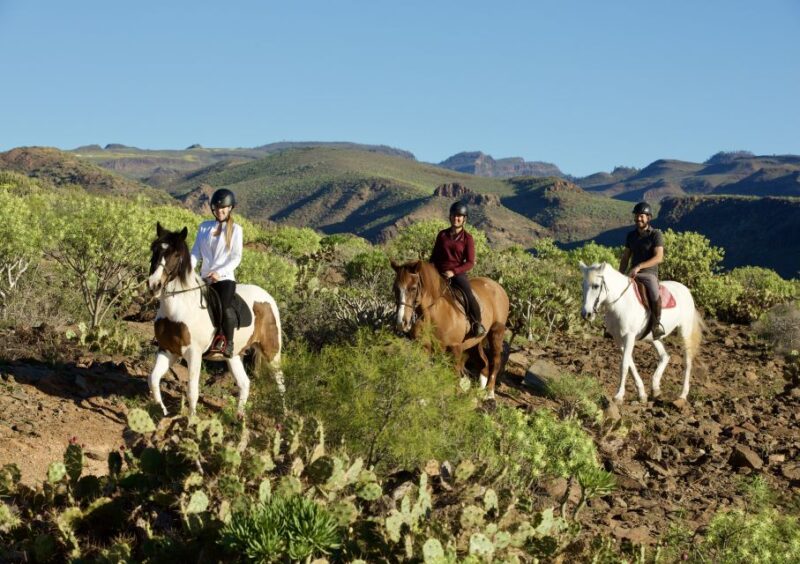 The Salobre: Horse Riding Adventure With Transfer Options - Riding for All Skill Levels