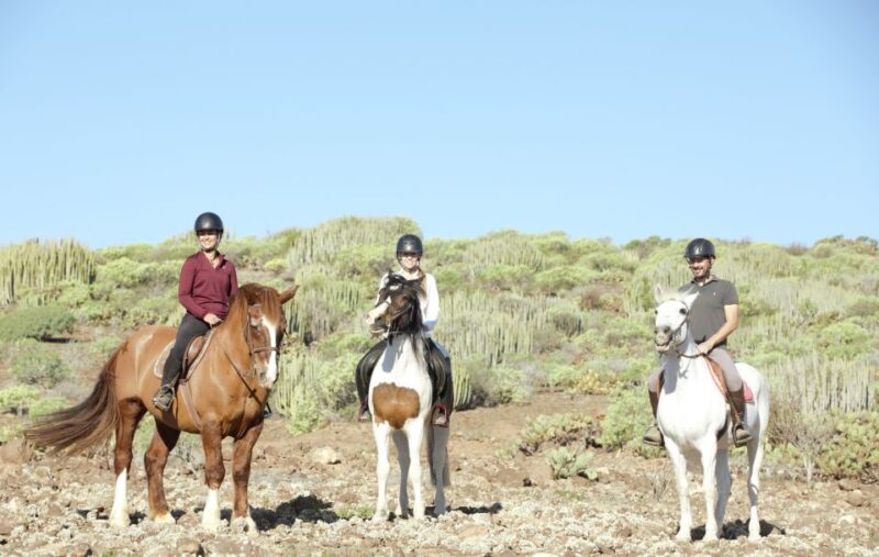 The Salobre: Horse Riding Adventure With Transfer Options - Hotel Pickup and Drop-off
