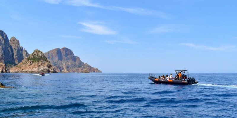 The Scandola Nature Reserve - Marine Fauna and Flora Highlights