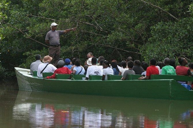 The Scarlet Ibis - Caroni Swamp Tour - A Closer Look at the Itinerary