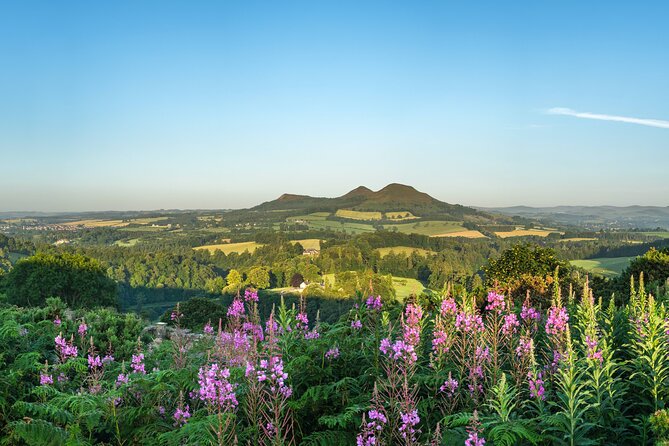 The Scottish Borders Full-Day Private Tour in a Luxury Minivan With Local Guide - Scenic Wildlife Viewing Opportunities