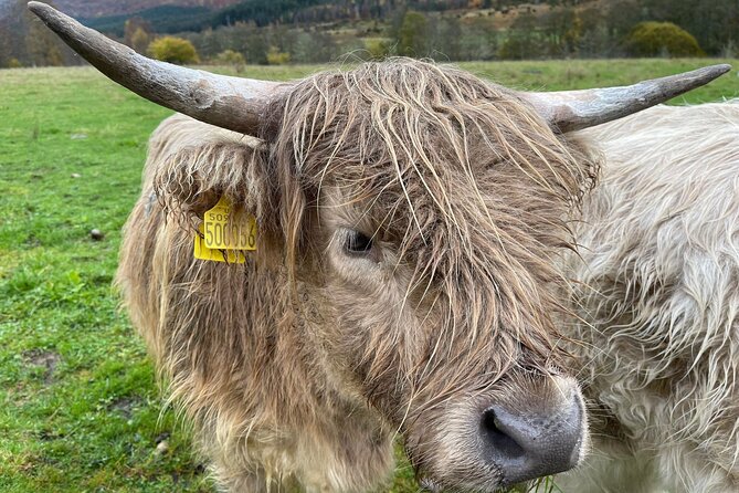 The Secret Isle Of Skye Tour - Itinerary and Highlights