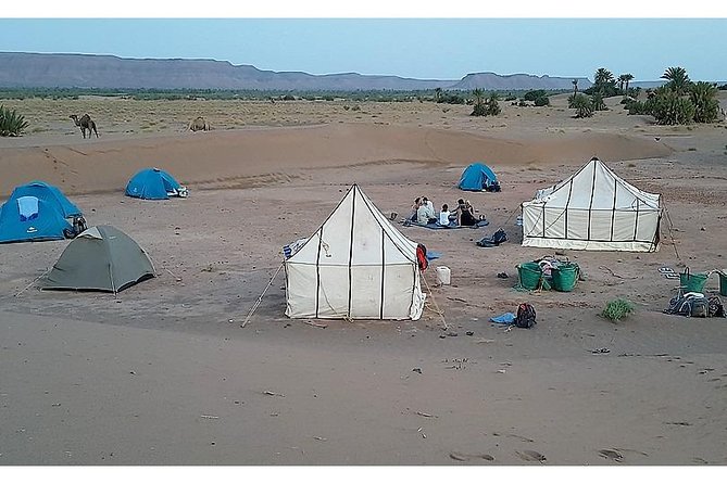 The Secret of the Camel Trekking Desert - Key Points