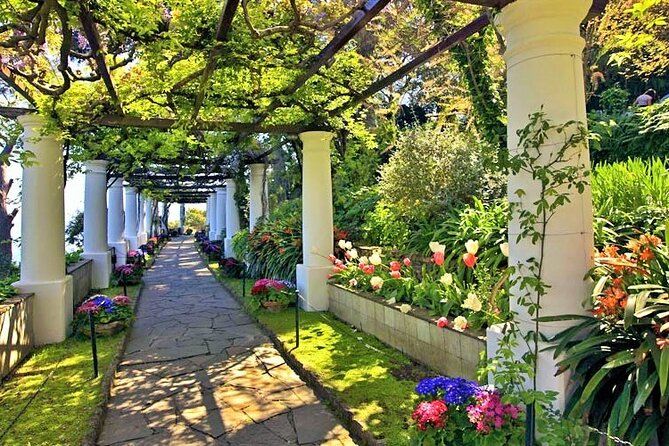 The Secrets of Capri. Choose the Best With Your Personal Guide - Taking in Capris Artistic Heritage