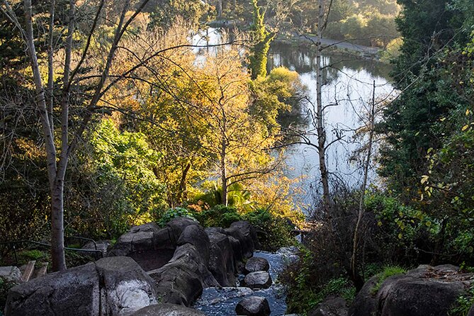 The Secrets of Golden Gate Park: A San Francisco Chronicle Self-Guided Tour - Unearthing Golden Gate Parks Hidden Gems