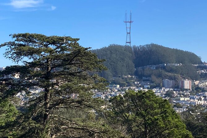 The Secrets of Golden Gate Park: A San Francisco Chronicle Self-Guided Tour - Navigating the Self-Guided Tour Experience