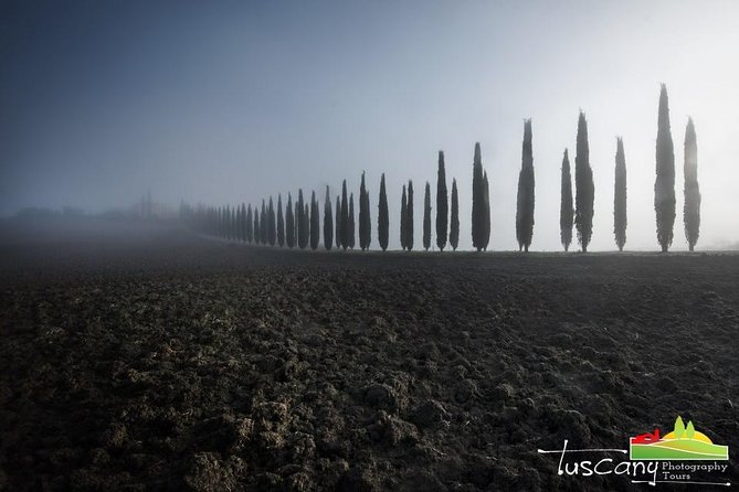 The Sharp Tuscany Tour – From Sunrise to Sunset – Photo Tour & Workshop - Feedback and Testimonials