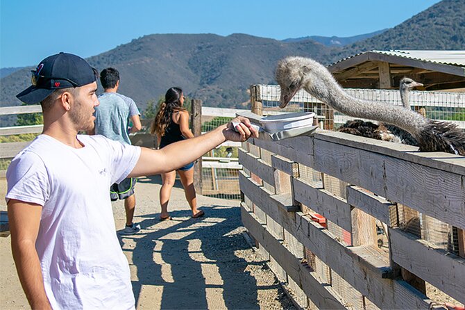 The Sideways Luxury Wine Private Tour to Solvang - Knowledgeable Tour Guides