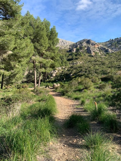The Sierra De Tramuntana Hiking Experience - Group Size Limit
