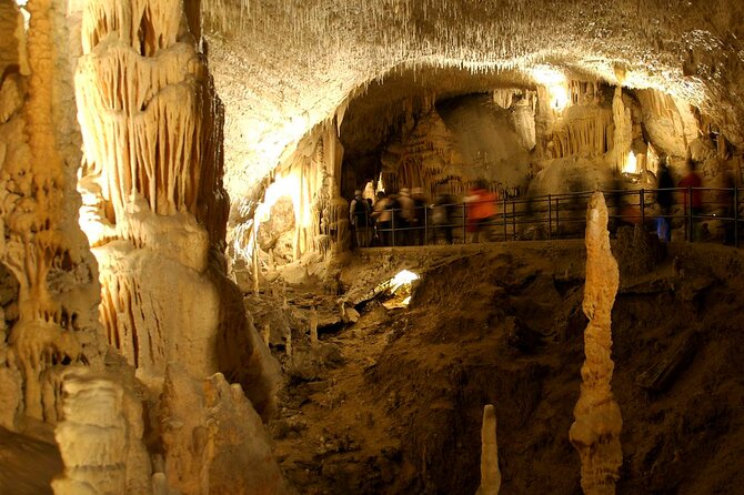 The ŠKocjan Caves - World Heritage (Up to 8 Persons) - Experience the Breathtaking Sights
