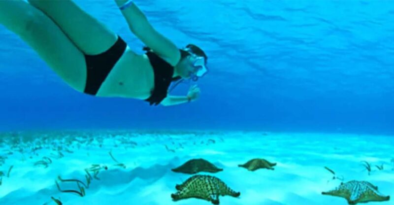 The Sky, Catamaran and Jeep Adventure - Itinerary Highlights