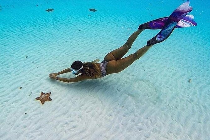 The Sky Cozumel Snorkeling Tour - All-Inclusive - Positive Feedback